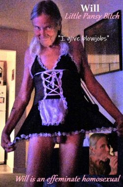 Will the Sissy Maid