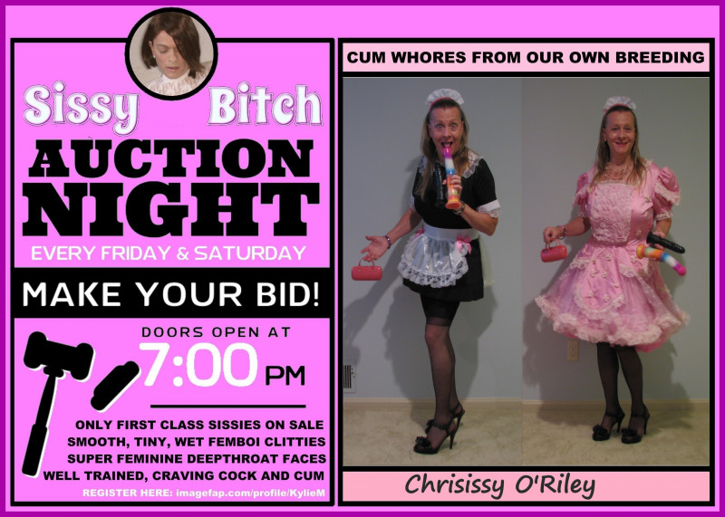 Chrisissy Sissy Play Doll or French Maid available to serve!