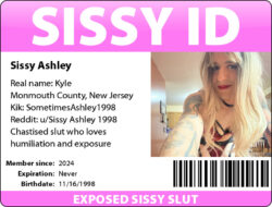 Sissy Ashley Exposed