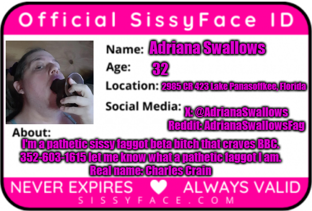 Sissy f*ggot Adriana Swallows