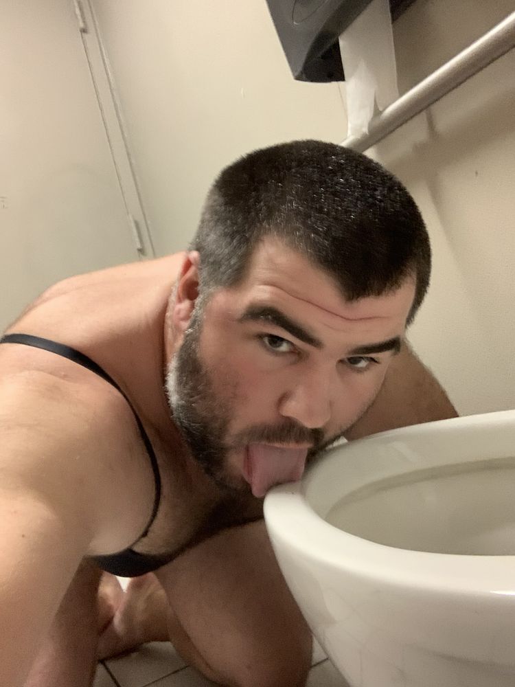 Toilet licking sissy