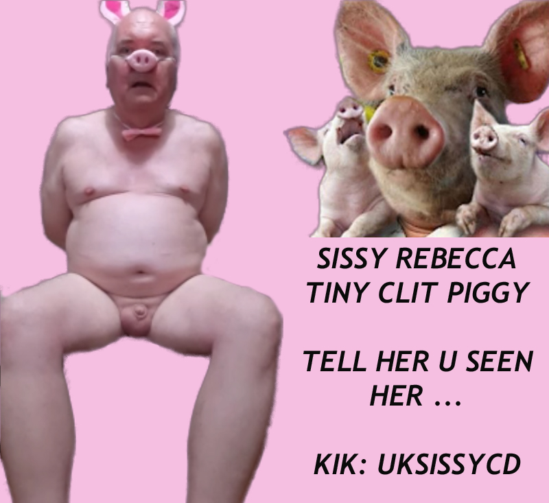 ~ STUPID SISSY PIGGY REBECCA