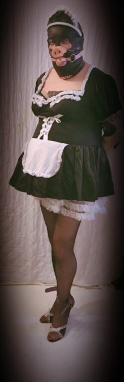 Sissy Maid me