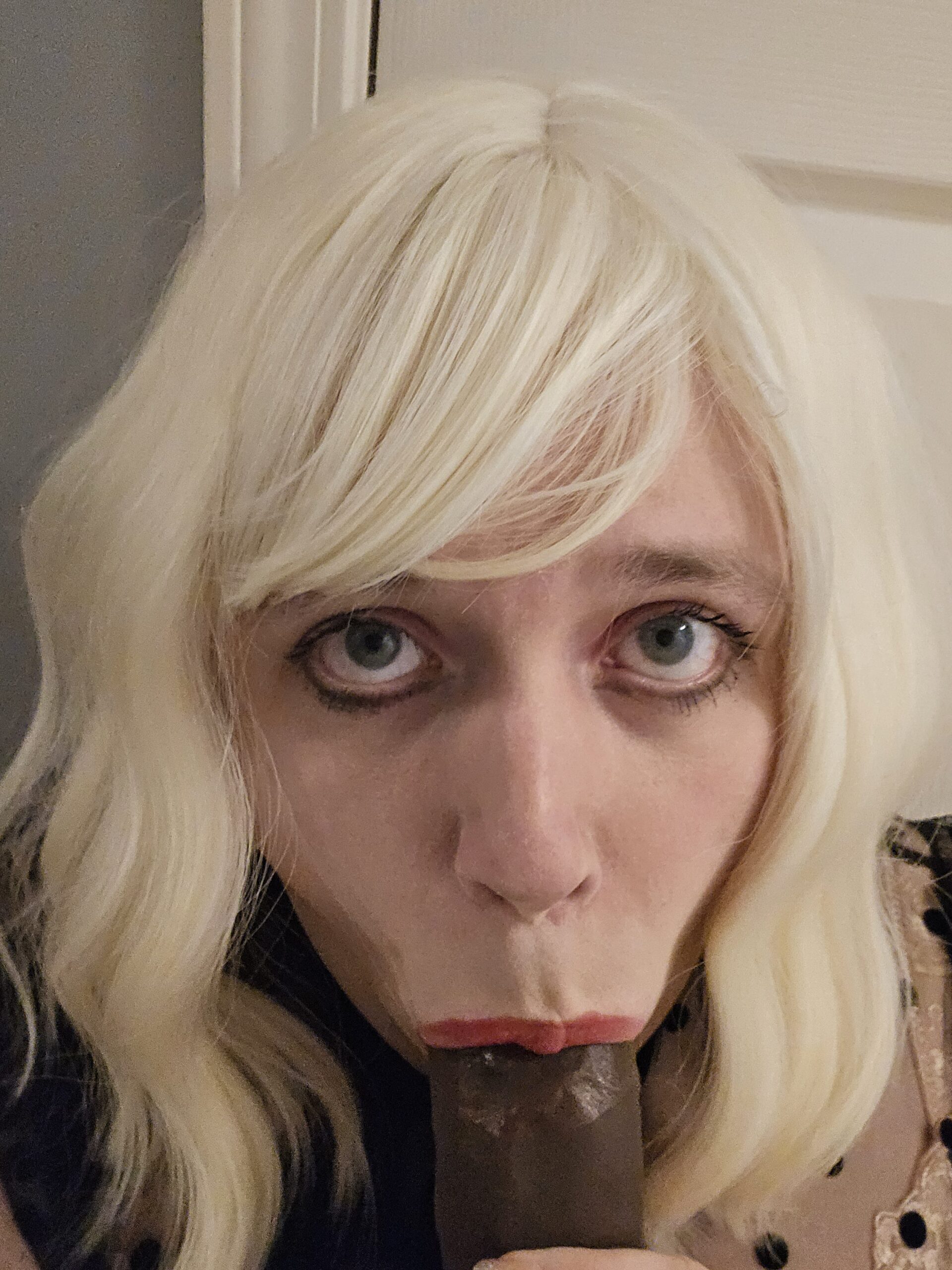 Alexis Rayne – Sissy Info Game