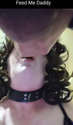 Feed Me Daddy