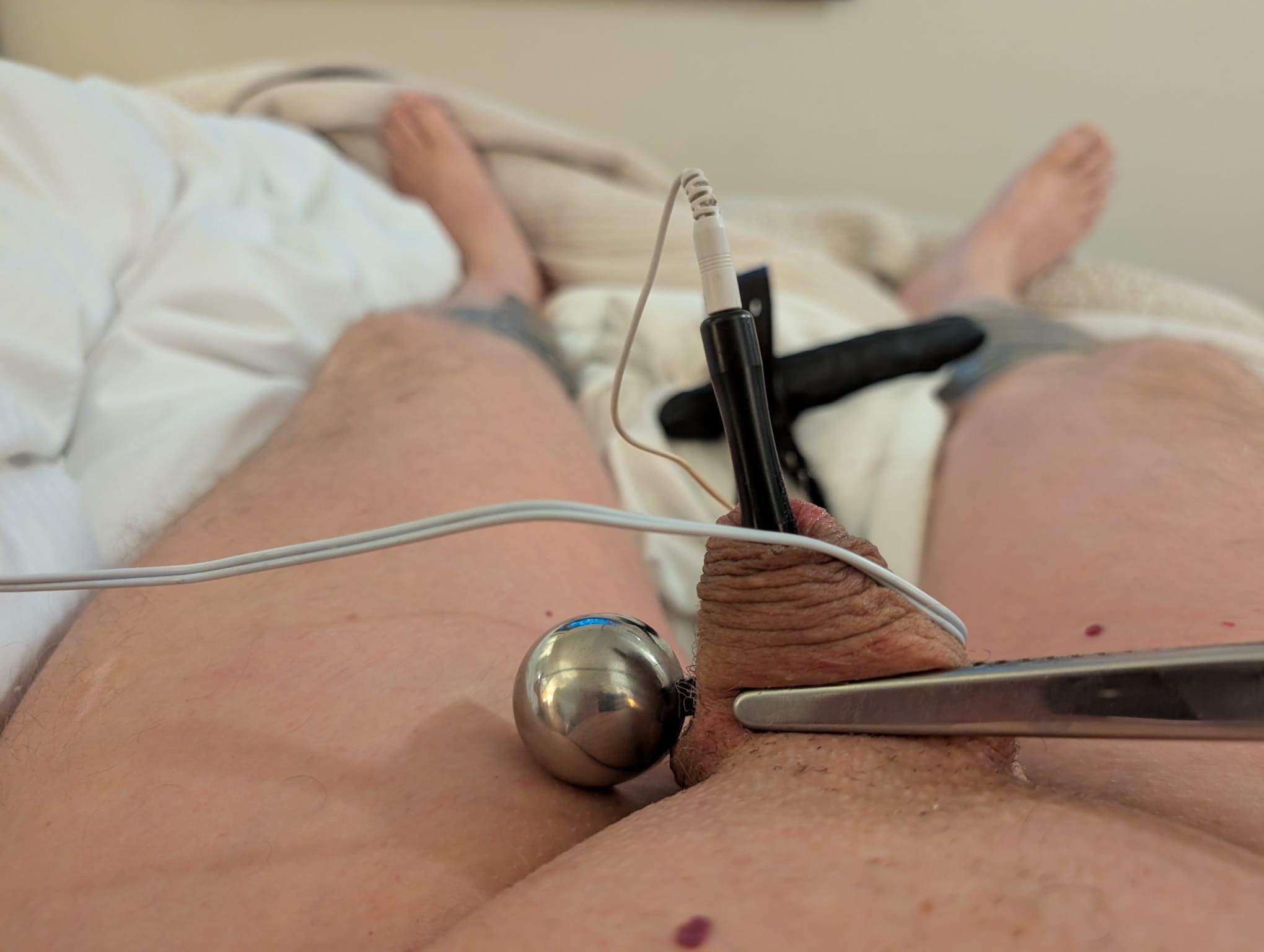 Victoria Valley Yarm