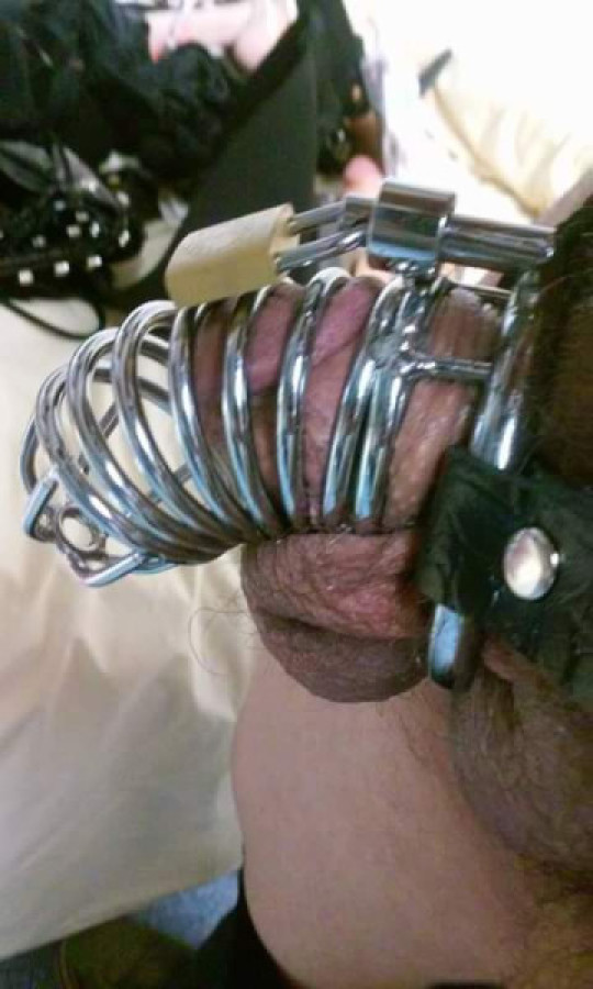 SISSY RYAN BOSTON MA