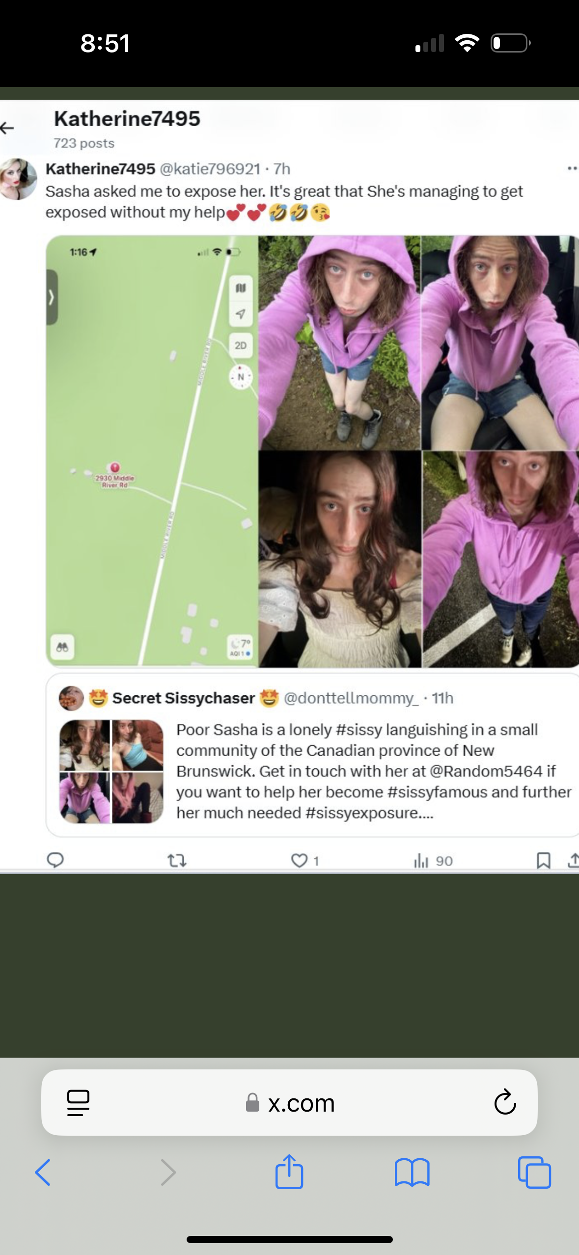 Sissy Sasha give me max exposure