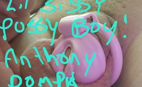 Anthony Pompa Chastity Sissy