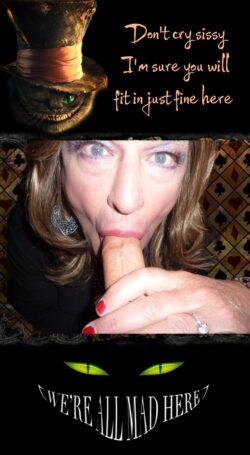 Tim O’Reilly – Kristina continues down the sissy rabbit hole…..