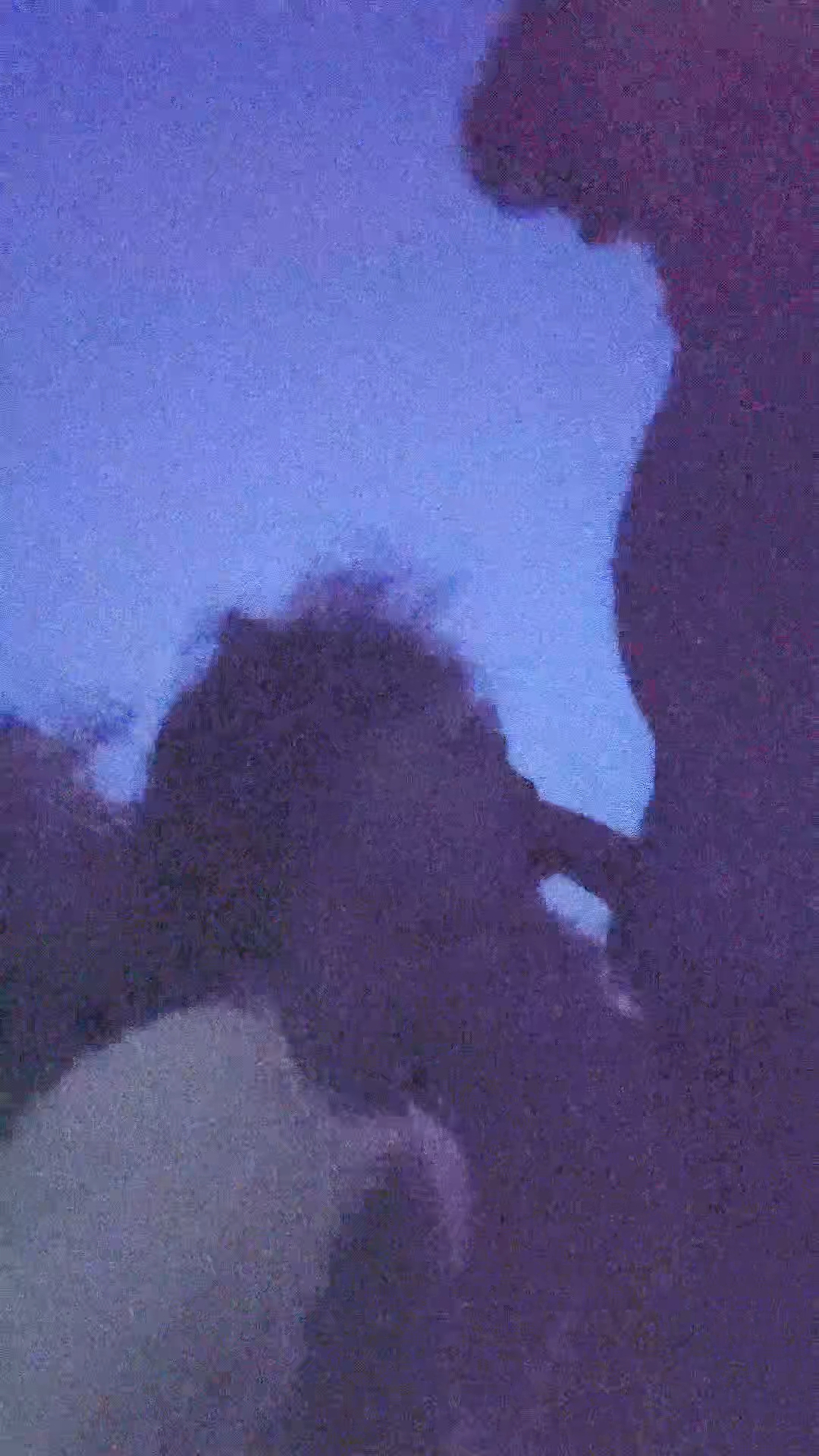 f*ggot cocksucker