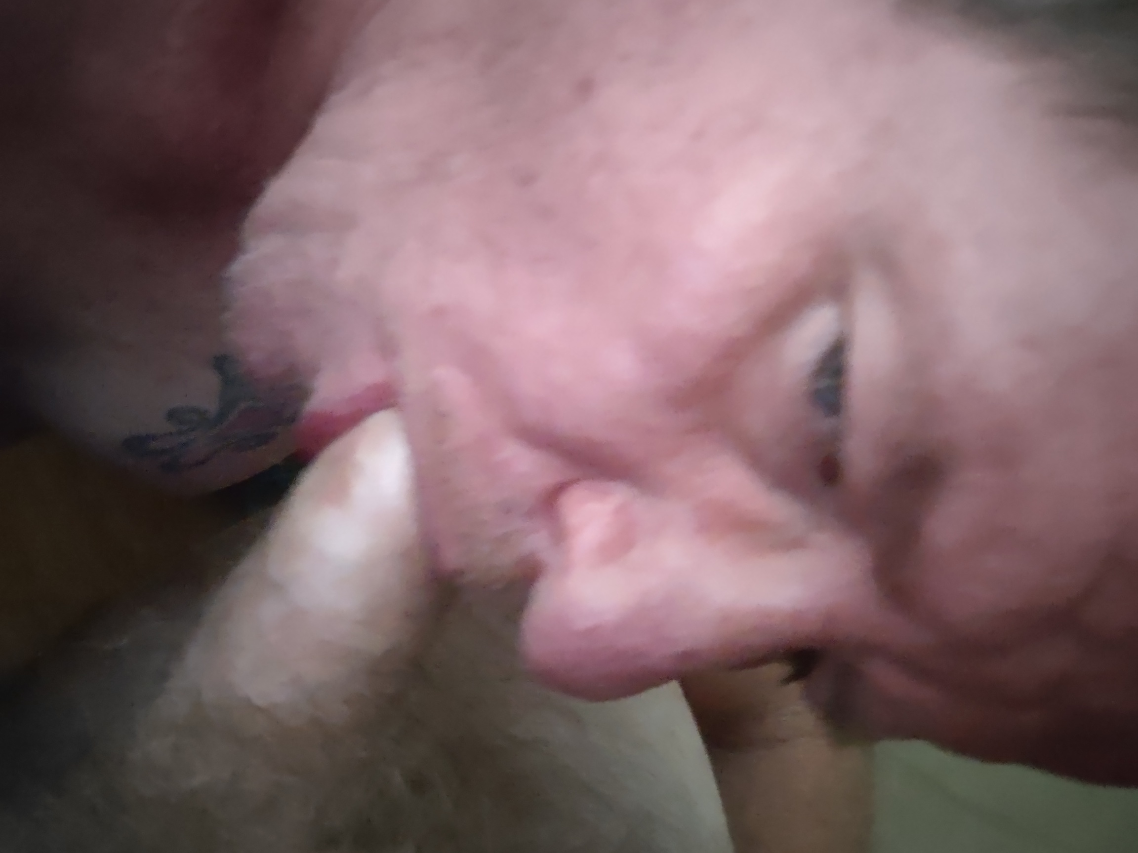 I love cock and need it all the time
