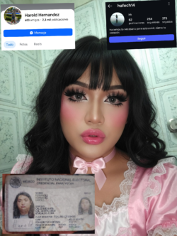 Sissy Lola Harold