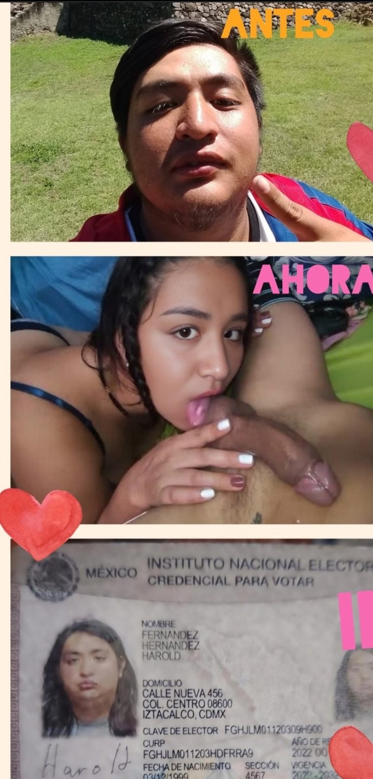 Sissy Lola Harold