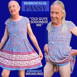 Weak Effeminate Pansy