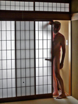 Nothing to hide behind the shoji walls
