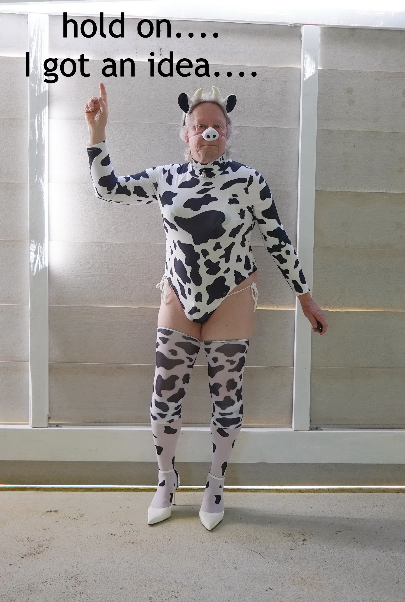 ~ silly moo!