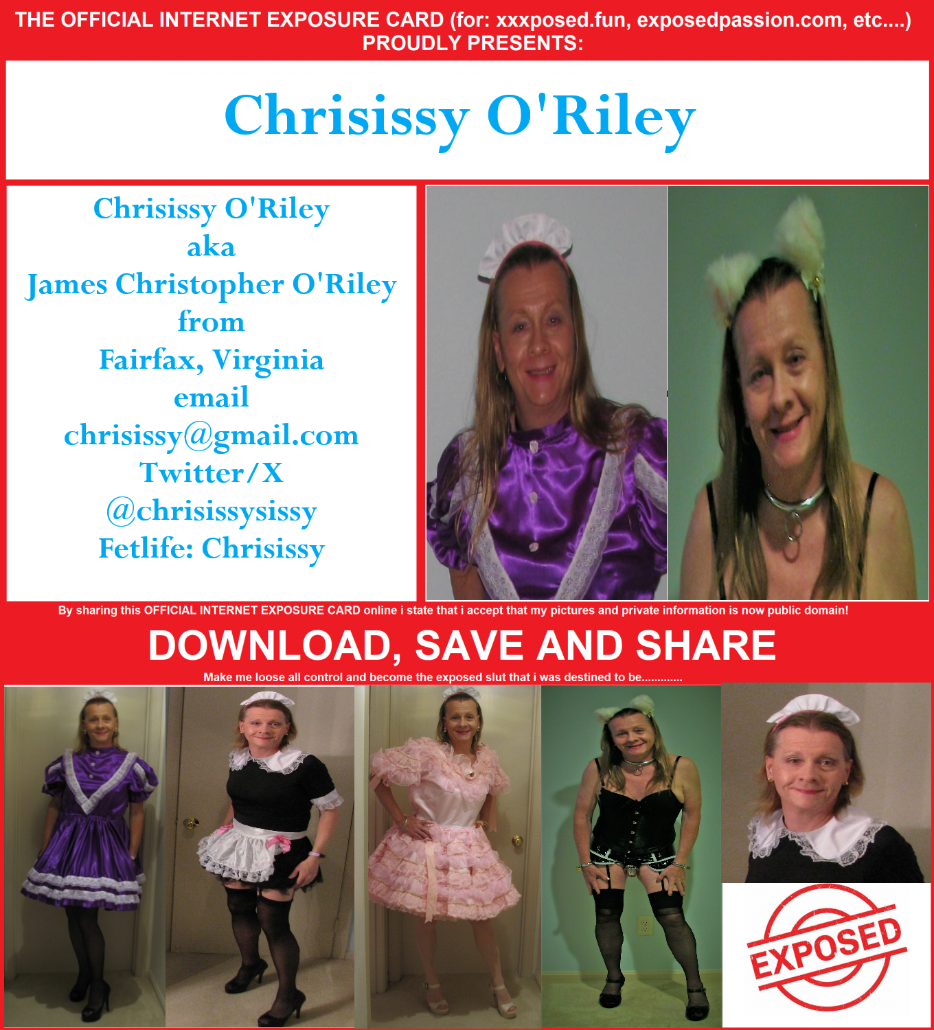 Chrisissy Sissy Maid looking for permanent exposure