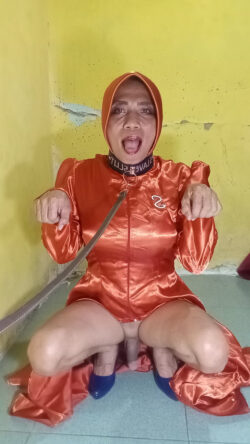 Sissy cderdog slave