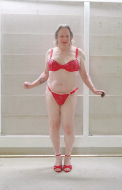 ~ lingerie spice