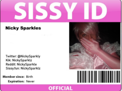 NickySparkles – Sissy Info Reveal Risk