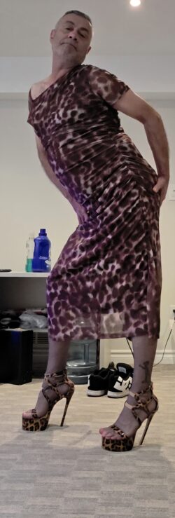 Donny sheppard Toronto sissy boy
