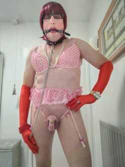 Collared. Chastity for lee