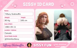 Sissy – Identified and Exposed